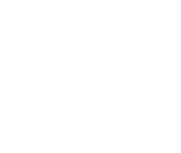 the views logo